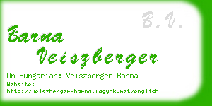 barna veiszberger business card